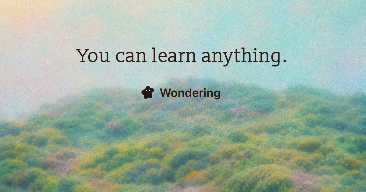 Wondering screenshot